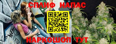 винт Тара
