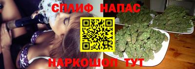 винт Тара