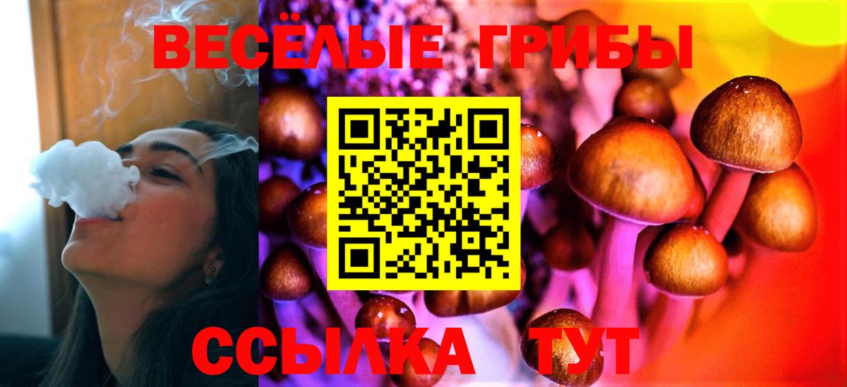 Галлюциногенные грибы ЛСД Новоуральск