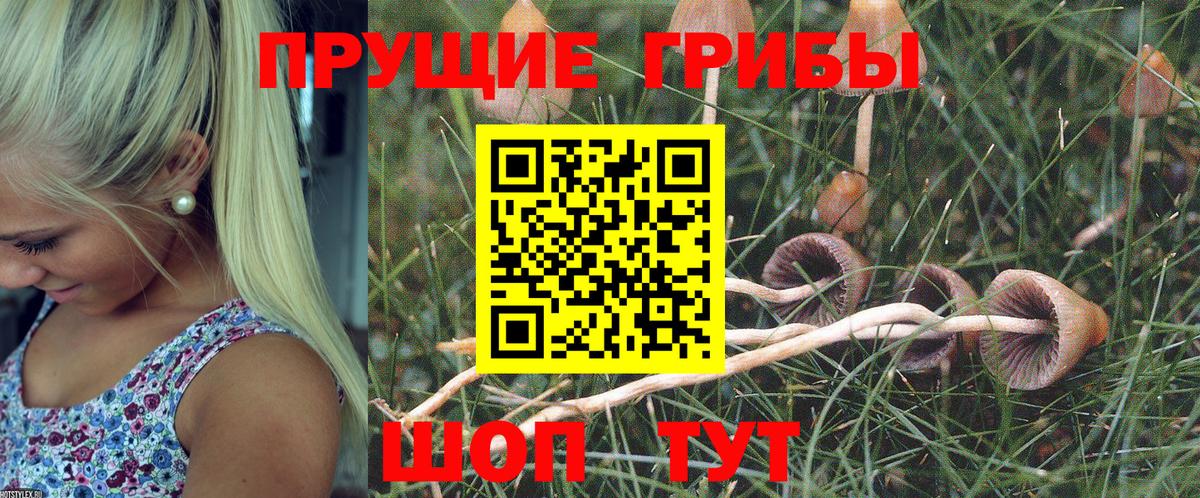 Псилоцибиновые грибы GOLDEN TEACHER  Вход с VPN  Новоуральск 